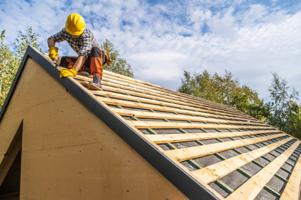Best Roof Gutter Cleaning  in Shelbyvle, IL