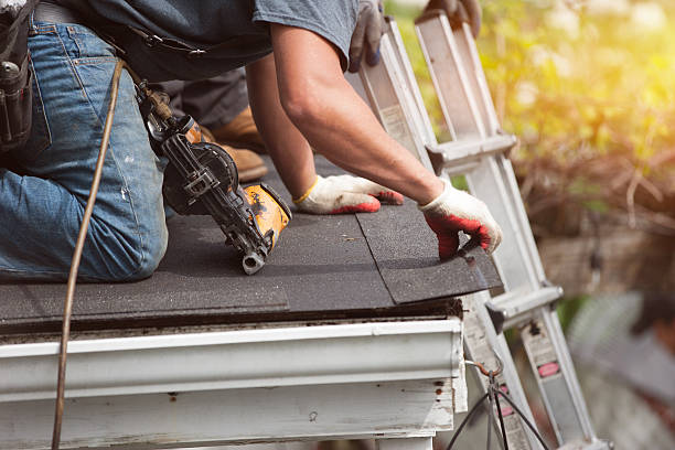 Best Roofing Contractors for Homes  in Shelbyvle, IL
