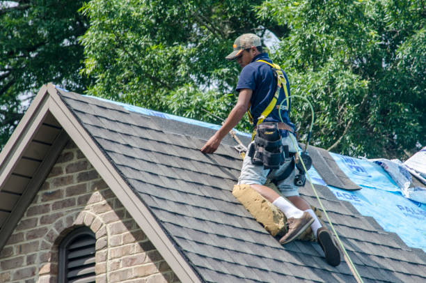 Best Emergency Roof Repair  in Shelbyvle, IL